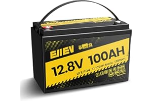 EIIEV 12V 100Ah Lithium Battery,12V LiFePO4 Battery Built-in 100A BMS Protect, Group 31 Deep Cycle Portable Power,Lithium Iron Phosphate Battery for Trolling Motors, Yacht, Marine, RV, Home Energy