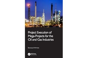 Project Execution of Mega-Projects for the Oil and Gas Industries
