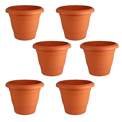 Leafy Tales Plastic Pots, Terracotta Color 6 inch Pot Size, 6 Pieces