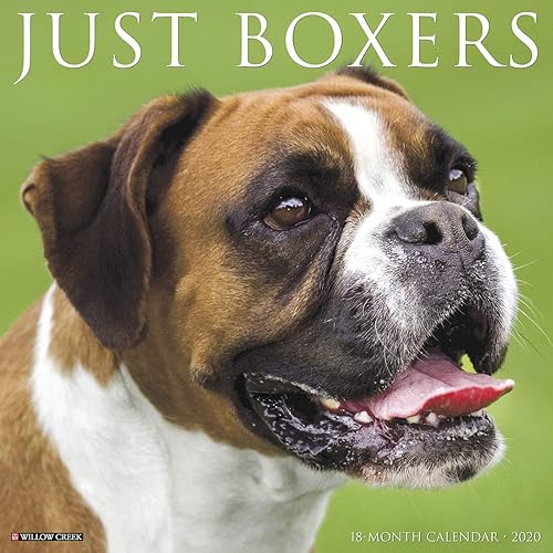 Download Just Boxers 2020 Calendar PDF