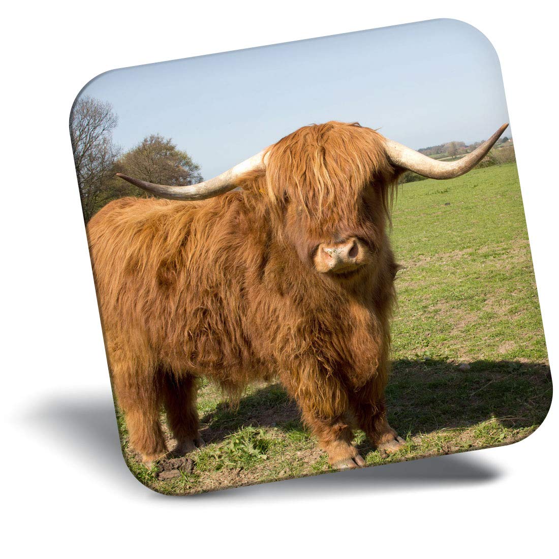 The 10 Best Refrigerator Magnet Highland Cow