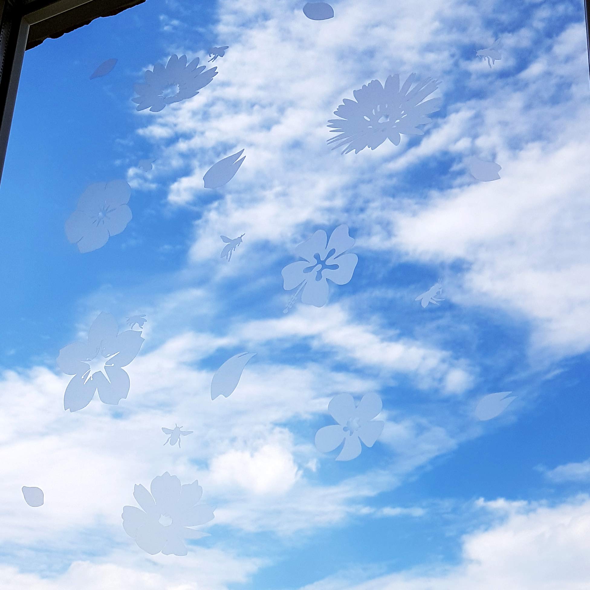 View 7