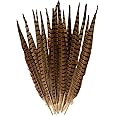 Lot De 20 Plumes De Queue De Faisan Naturelles – 25-30 Cm (10-12 Pouces), Parfait Pour DIY Et Déco