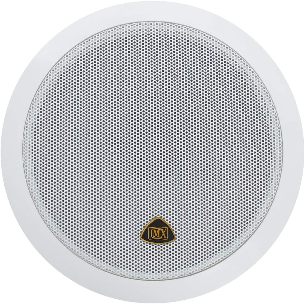 Ceiling Speaker - Weather Proof in-Ceiling/in-Wall Stereo Home Audio Speaker - Public Address Speaker (6.5'')