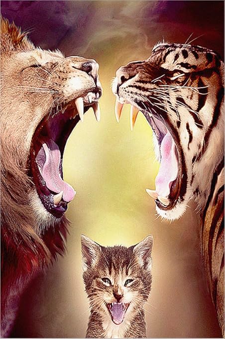 Peinture Au Diamant B Lion Tigre Chat Atmosphere Simple Salon Decoration Peinture Diamant Peinture Perceuse Carree 30x45cm Amazon Fr Cuisine Maison