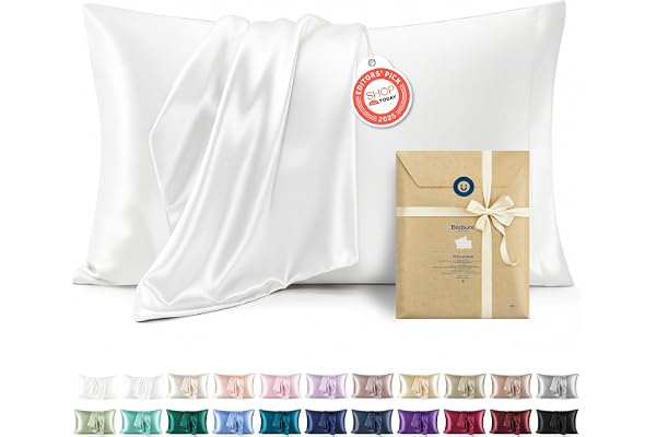 Bedsure Satin Pillow Case Queen Size 2 Pack - Similar to Silk Pillow Cases, White Pillowcases for Hair and Skin with Envelope