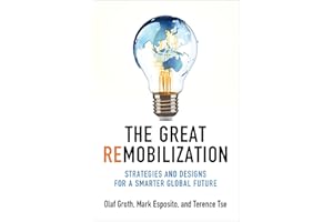 The Great Remobilization: Strategies and Designs for a Smarter Global Future