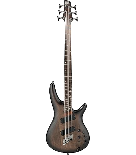Amazon.com: Ibanez SR506E 6-String - Brown Mahogany : Musical
