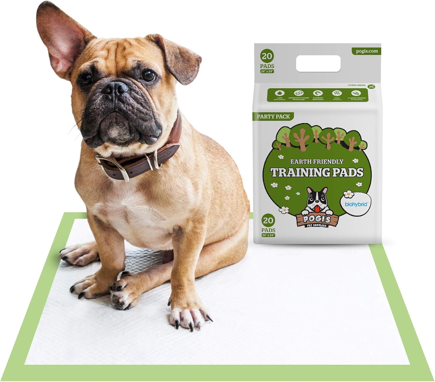 black belgian malinois price