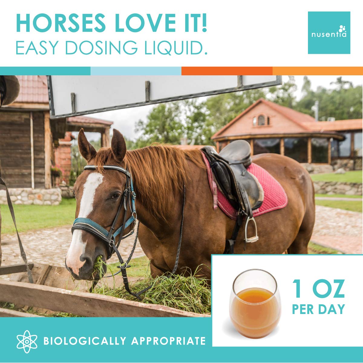 NUSENTIA Horse Joint Supplement New Larger Size (1 GAL) Equine