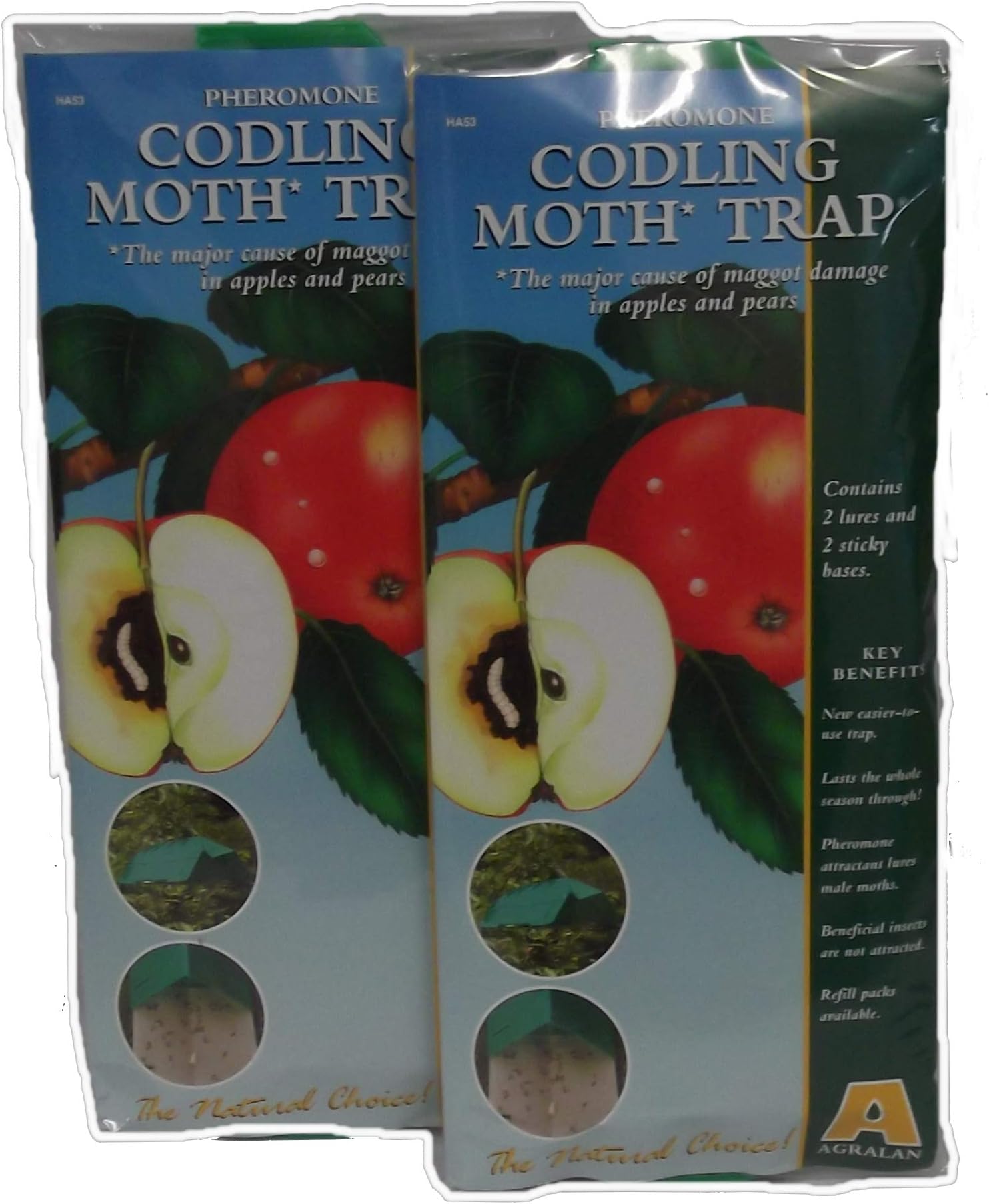Agralan M53 Codling Moth Trap (up to 5 Trees) (2)