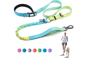 JETOG Heavy Duty Hands Free Dog Leash, 4-6 FT Reflective Adjustable Waist Dog Leash Belt with Padded Handles, Shock Absorbing Bungee and Car Seat Belt for Large Medium Dogs (Yellow Blue, L)
