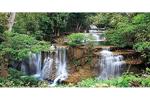 AWERT 36x24 inches Waterfall Terrarium Background Rainforest Aquarium Background Tropical Plants Green Tree Reptile Habitat Background Vinyl