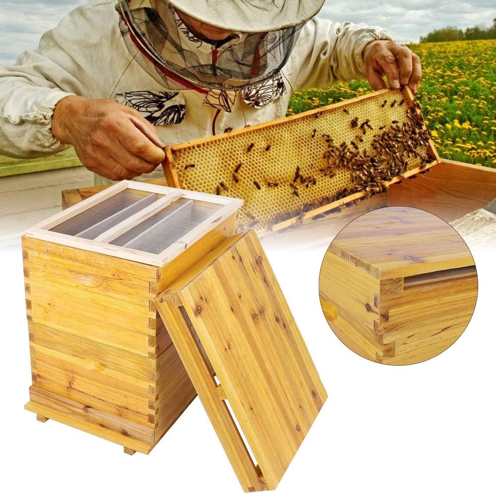 Jacksking Beehive, Cedar Wood Honey Keeper Beehive Complete Box 10 Frame Beekeeping Box Kit Beekeeping Tools for Beginners and Pro Beekeepers