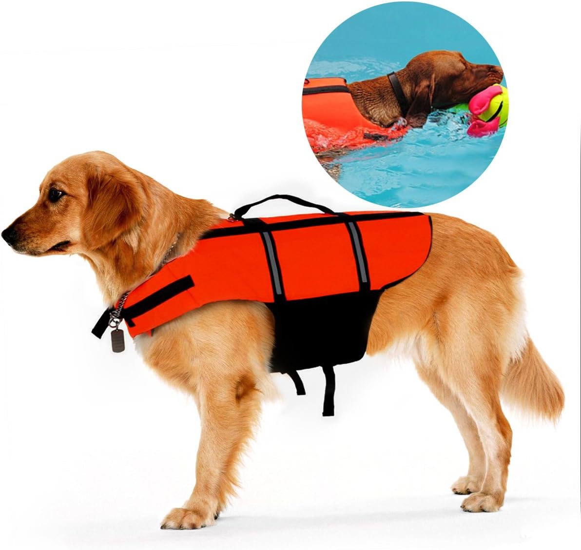 Kayak Giubotto di Salvataggio per Cane Carloo Salvagente per Cani