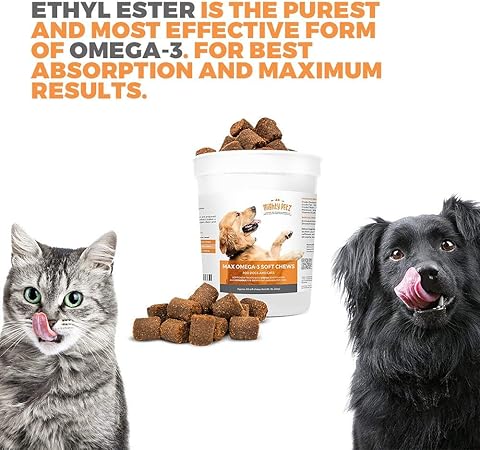 ethyl ester oil for dogs