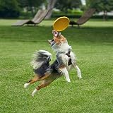Vivifying 2 Pack 7 Inch Natural Rubber Flying Disc Dog Frisbee Green Yellow view 7