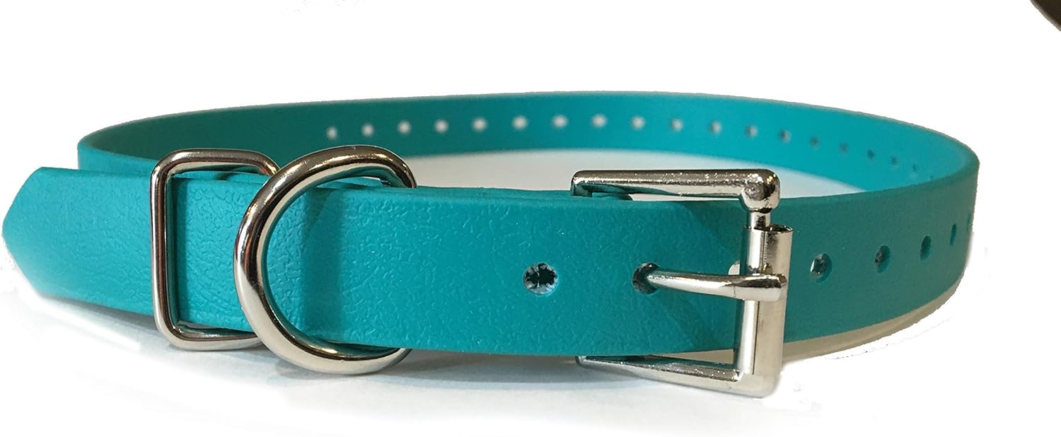 prong dog collar petco
