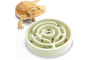 OOXYG Bearded Dragon Maze Bowls Puzzle, Bearded Dragon Feeding Dish, Bearded Dragon Food Bowl, Reptile Food Feeding Dish to Slow Down Eating, Worm Dubia Cricket Anti-Escape Food Bowl