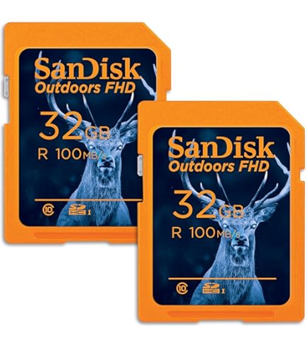 Amazon.com: SanDisk Extreme PRO SDSDXXO-032G-GHJIN SD Card
