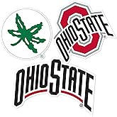 Desert Cactus The Ohio State University Sticker OSU Buckeyes Vinyl Decals Laptop Water Bottle Car Scrapbook T5 (Type 5-1)