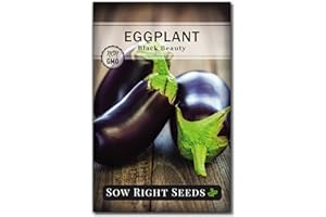 Sow Right Seeds - Black Beauty Eggplant Seed for Planting - Non-GMO Heirloom Packet with Instructions to Plant an Outdoor Home Vegetable Garden - Large Round Fruits, Deep Purple Variety (1)