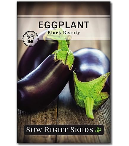 Amazon.com : Eggplant Seeds - Purple Shine - Hybrid - 500 Mg