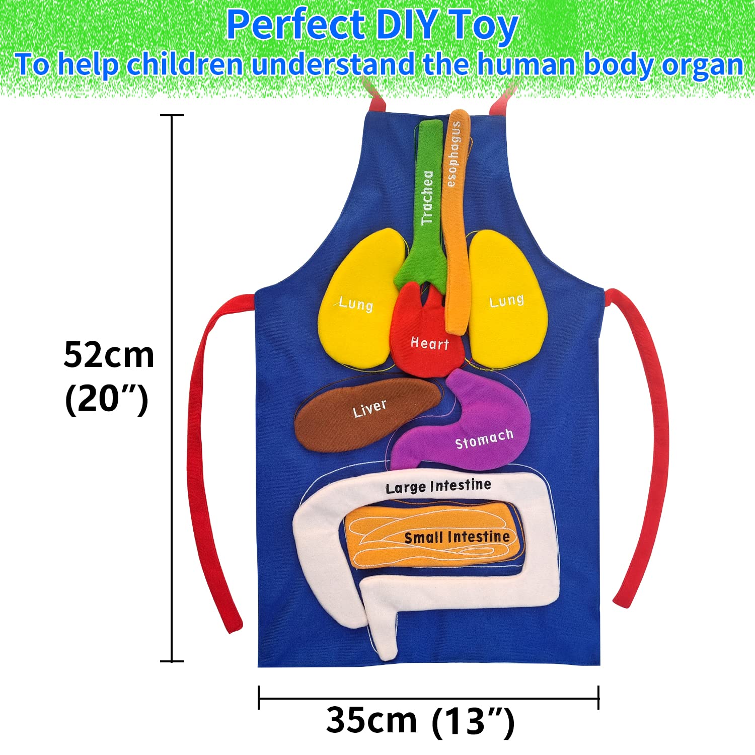 BOCZIF 3D Organ Apron, Human Body Organs Apron Awareness Educational Tool Toy for Kids, Anatomy Costume Apron Plush Stuffed Viscera Model Removable for Home Preschool Early Childhood Teaching Aid