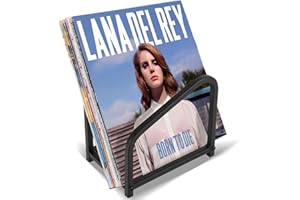 EGMEHOAD Record Holder, Vinyl Record Storage, Record Holder for Albums, Vinyl Record Stand, Black 30 Lp