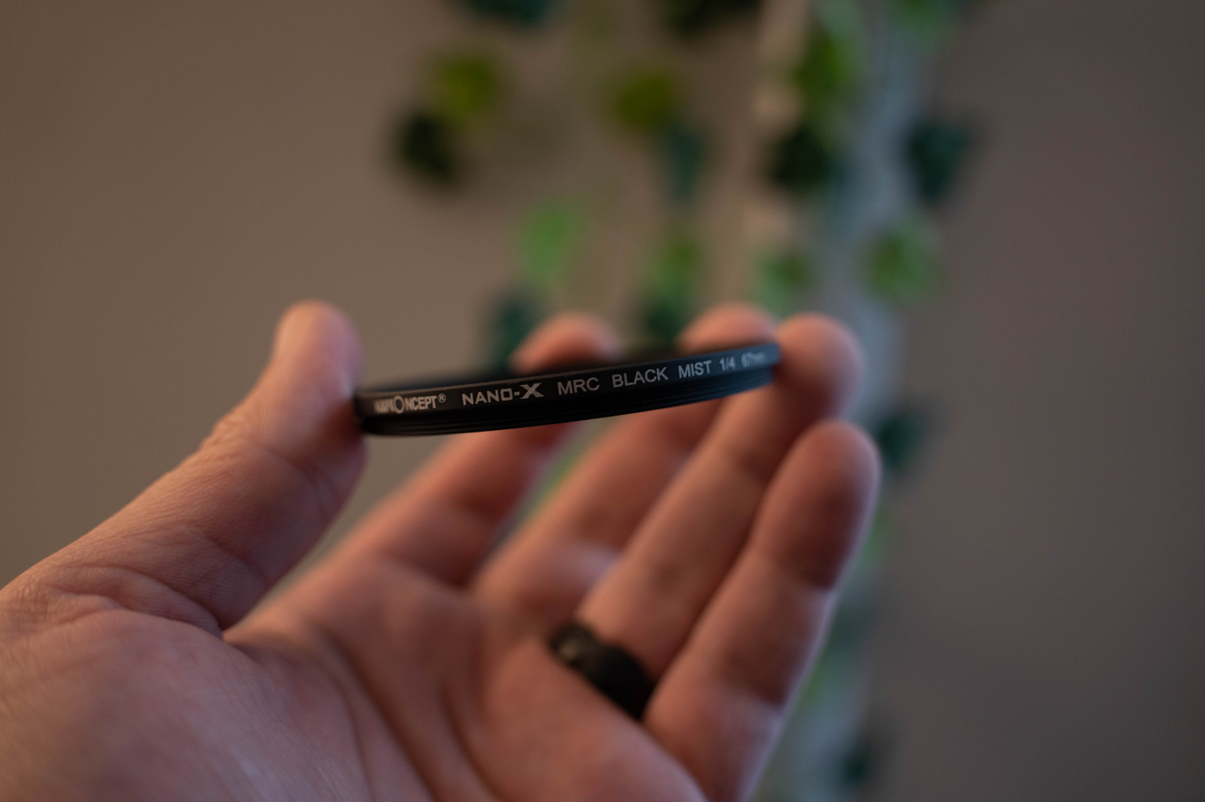 Mjukt dimfilter som har närvaro men som inte överväldigar motivet.