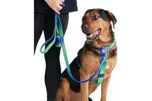 Spark Paws No Pull Dog Harness for Large Dogs, Heavy Duty Dog Harness for Big Strong Breeds, Adjustable, Y Shaped Padded Halter Design with Front Clip - Lime Wave - L