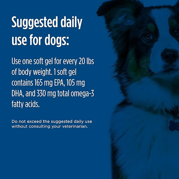 NORDIC NATURALS OMEGA-3 PET, UNFLAVORED – 90 SOFT GELS – 330 MG OMEGA-3 PER SOFT GEL – FISH OIL FOR DOGS WITH EPA & DHA – PROMOTES HEART, SKIN, COAT, & IMMUNE HEALTH