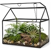 Black 1 Large Glass Plant Terrarium Kit with Lip Greenhouse for Succulents