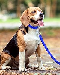 Taglory Dog Leash for Small Dogs, Double-Sided