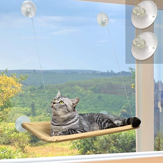 amazon cat window bed