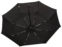 Amazon Basics Round Travel Umbrella for