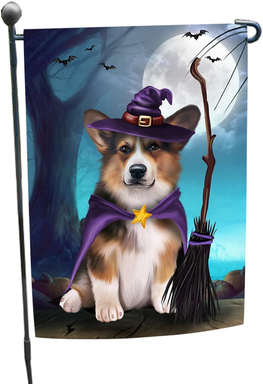 low cost dog surgery near me