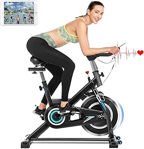 ancheer spin bike