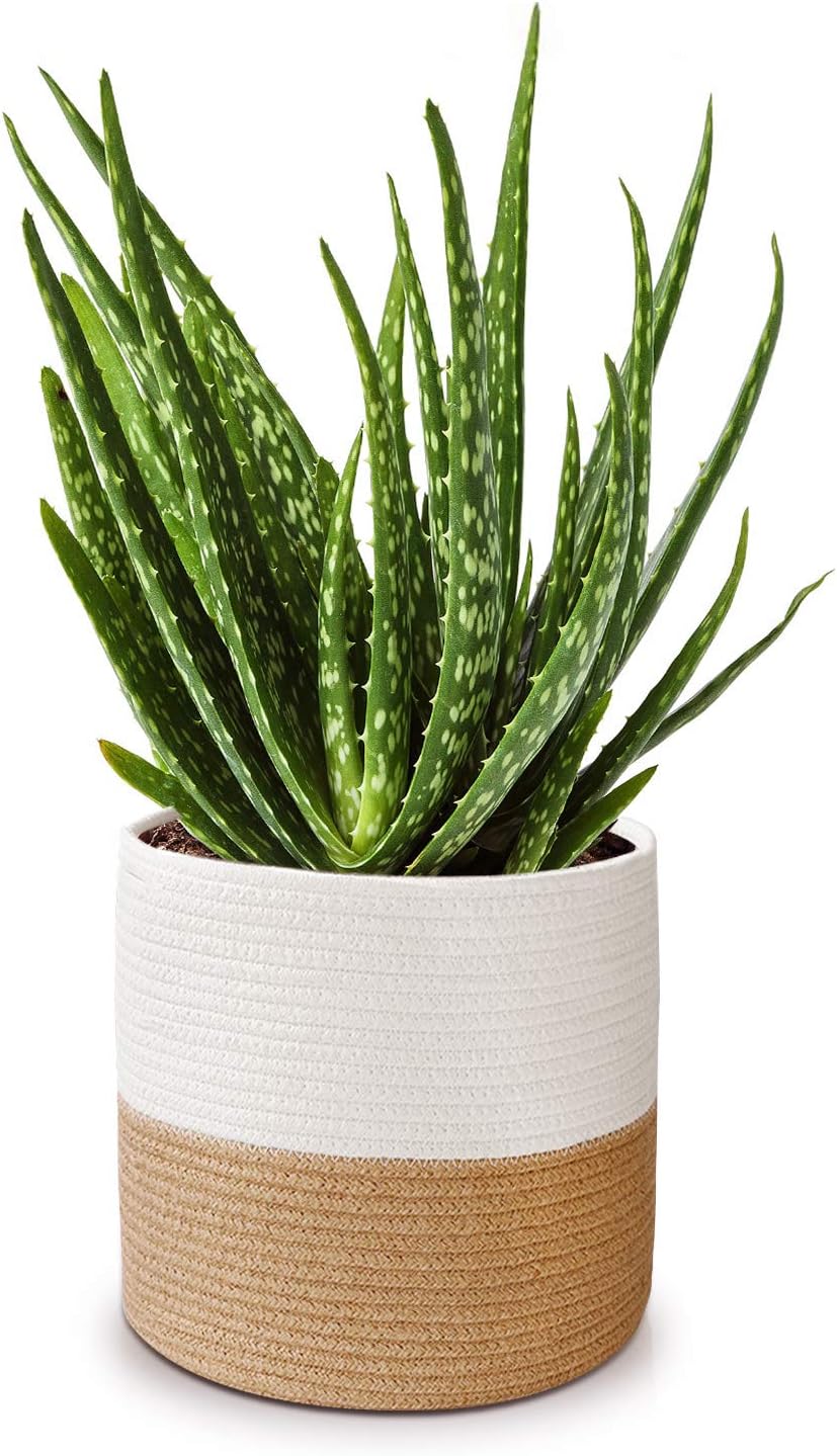 Cotton Rope Plant Basket for 10" Planter / Flower Pot, Woven Basket, Storage Basket Organizer Modern Home Décor, 11” x 11” (Brown)