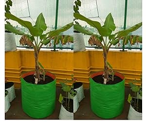 Evergreen Terrace Gardening Leafy Vegetable Green Grow Bag, 24 X 24  (Pack Of 2 )