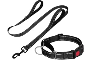 FunTags Reflective Martingale Collar for Dogs, Quick Release Buckle, 5FT Double Handle Dog Leash Padded, Dog Collar and Leash Set, Adjustable for Small Dogs (Black, S)