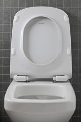 Duravit DuraStyle Toilet Seat Soft Close White Stainless Steel Hinges view 3