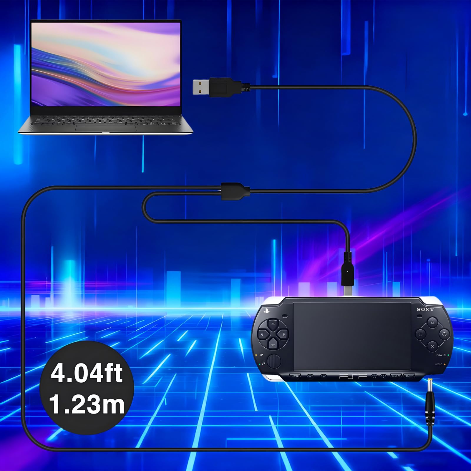 Pickle Power PSP 3000/2000 Battery with PSP Charger Cable for PSP 3000 / PSP Slim 2000 PSP-S110,PSP-3001, PSP-3000, PSP-3002, PSP-3004, PSP-2001, PSP Slim Console