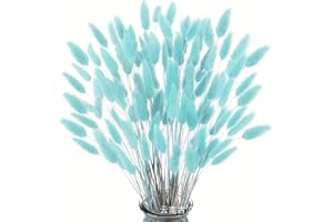 Natural Dried Bunny Tail Grass, 110-120 Stems, Lagurus Ovatus, Boho Pampas Grass Decor (Sea Blue)