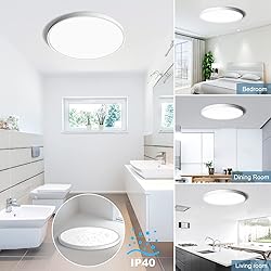 12 Inch LED Flush Mount Ceiling Light