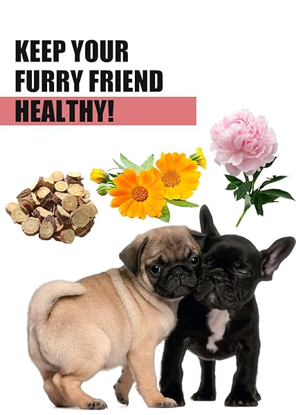 NATURAL WRINKLE WIPES FOR DOGS, 120 COUNT, HYPOALLERGENIC DOG WIPES, WRINKLE WIPES FRENCH BULLDOG, CLEANING & DEODORIZING, DOG WIPES FOR GROOMING FACES, PAWS & BUTTS