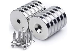 LOVIMAG Neodymium Disc Countersunk Hole Magnets, 1.26 inch x 0.2 inch Strong Permanent Rare Earth Magnets with Screws - Pack of 12