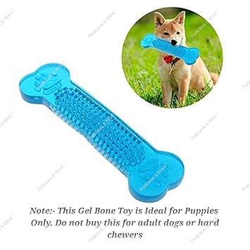 Petlicious & More Flavoured Rubber Dog Chew Hard Interactive Bone Toy (Colour May Vary)