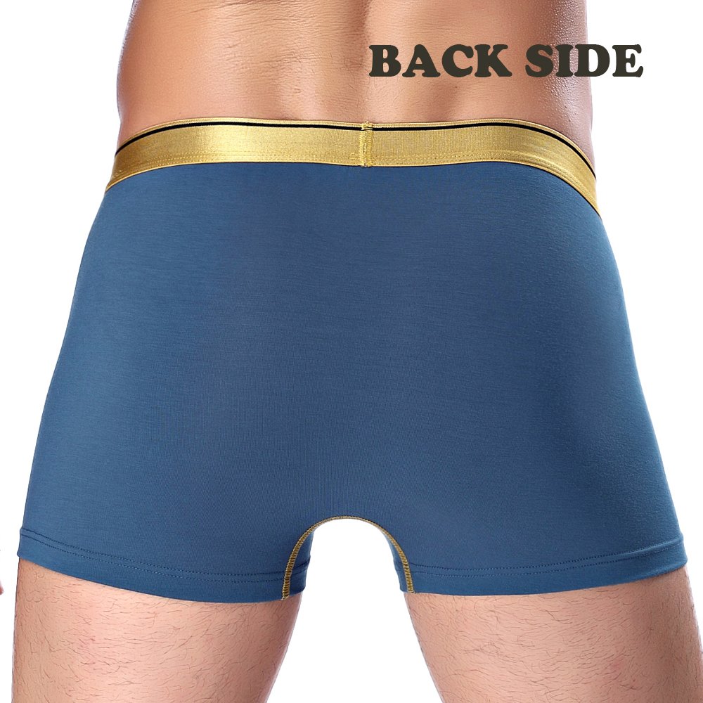 BRIGHT GG Boxer Briefs Mens Underwear Men Pack Soft Modal Healthy Breathable Underwear (L, 2)