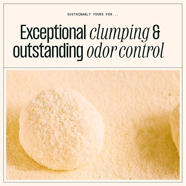 SUSTAINABLY YOURS NATURAL CAT LITTER, SMALL-GRAIN FORMULA, EXCEPTIONAL CLUMPING & ODOR CONTROL, VIRTUALLY NO DUST, SOFT ON PAWS, CORN & CASSAVA PLANT-BASED, UNSCENTED, 10 LBS